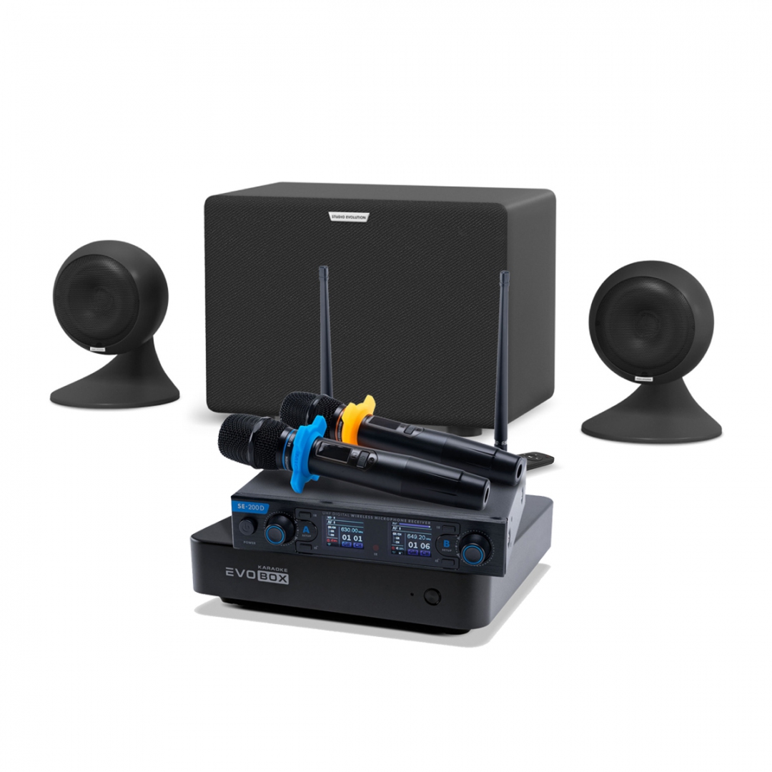 караоке-комплект EVOBOX + EvoSound Sphere 2.1 в Кыштыме