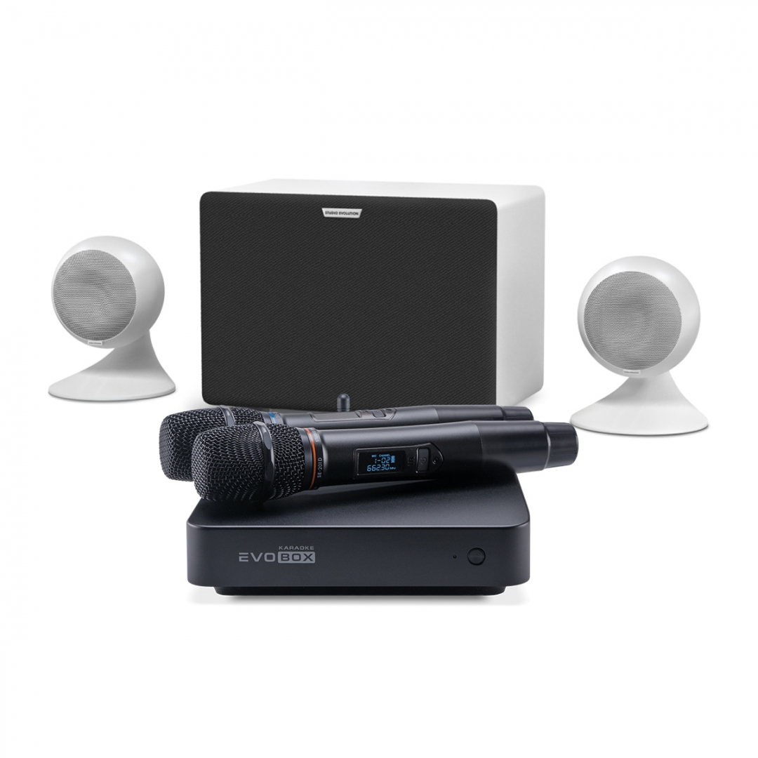 караоке-комплект EVOBOX Classic + EvoSound Sphere 2.1 в Кыштыме