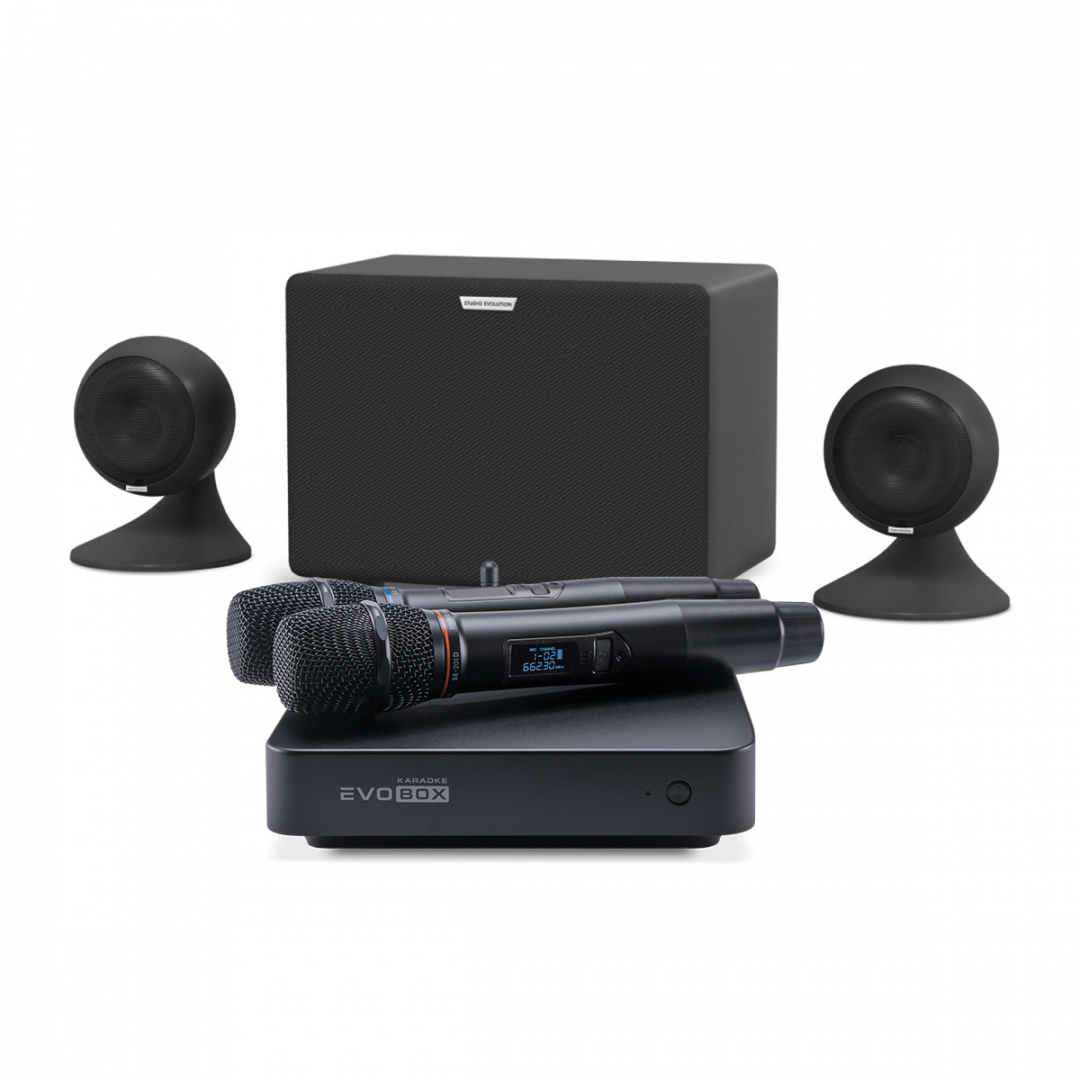 караоке-комплект EVOBOX Plus + EvoSound Sphere 2.1 в Кыштыме