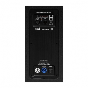 Активная акустическая система AST-310A в Кыштыме