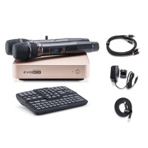 EVOBOX Classic караоке-система для дома в Кыштыме