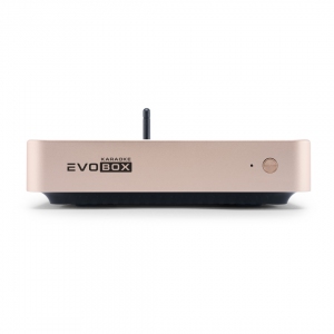 EVOBOX Plus караоке-система для дома в Кыштыме