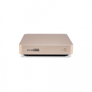 EVOBOX с микрофонами в Кыштыме